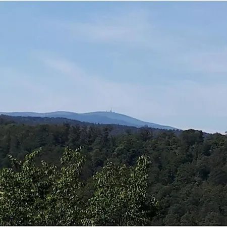 Appartement Haus Bodefurt - 2