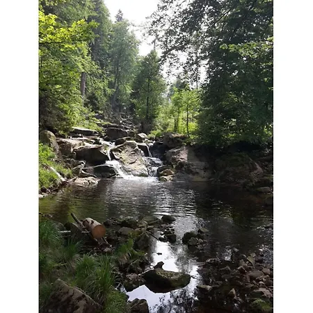 Haus Bodefurt - 2 Appartement Altenbrak