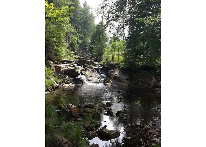 Haus Bodefurt - 2 Apartmán Altenbrak