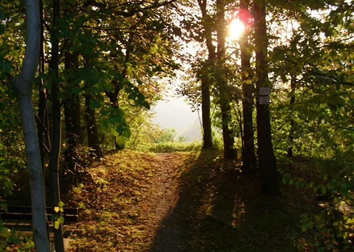 Apartmán Haus Bodefurt - 2